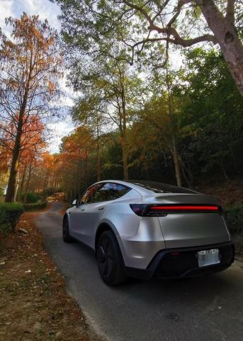 Model Y專業載貨 -  