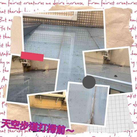 ꧁ 忻ꨄ 承🝮 企業社🝮 ꧂ - 士林大掃除採光罩前～