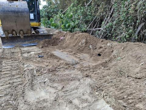 江水工程有限公司 - 果園整理