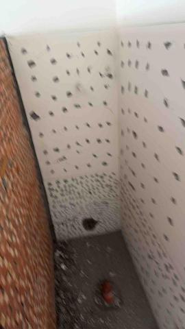 陳俊勲 - 原有牆面打毛