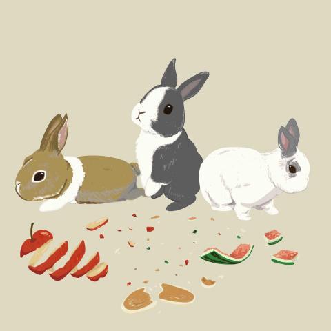 221 - 寵物似顏繪