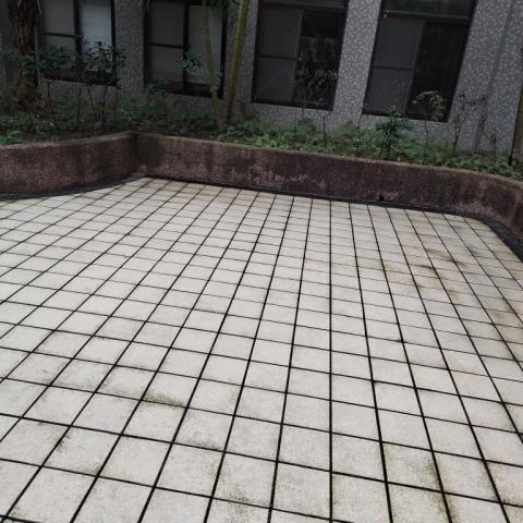 亮潔企業社 - 中庭廣場青苔清洗