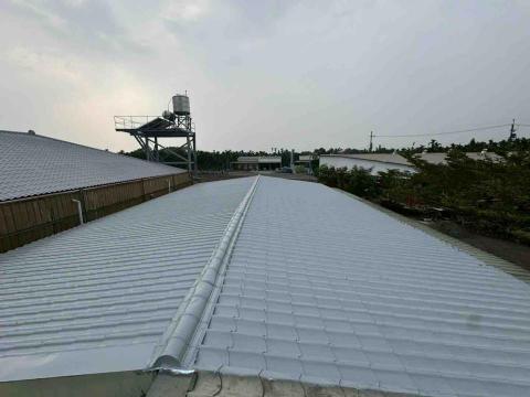 楊旻憲-防水油漆抓漏 - 琉璃鋼瓦翻新