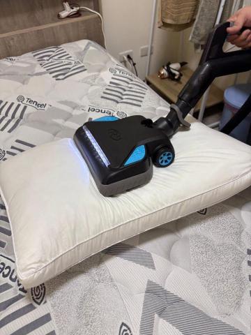 虎頭蜂清潔工作室 - 