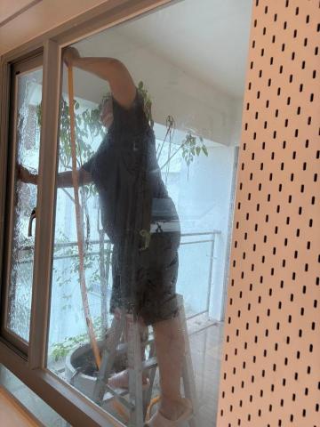 虎頭蜂清潔工作室 - 