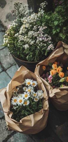 台北中山區調香師推薦Velvet 美體芳療小舖