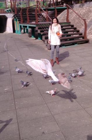 康亭會計 - 走路一分鐘之戶外