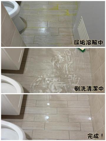 莉莉小姐✨空間精靈 - 訓練寵物於家中浴室地板如廁，但尿尿的味道怎麼都刷洗不掉嗎？歡迎聯繫我！