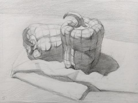 蔡先生 - 靜物結構