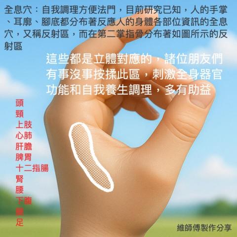 mola 維師傅 - 不定時分享各種自我調理法門