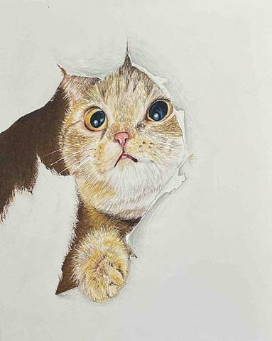 Momo老師繪畫教學 - 色鉛筆創作