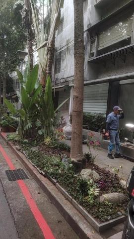 高彥紳 - 民生東路