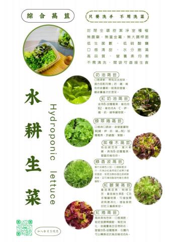 翠活安全蔬菜 - 萵苣