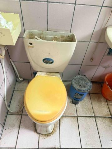 戴嘉宏 - 舊換新