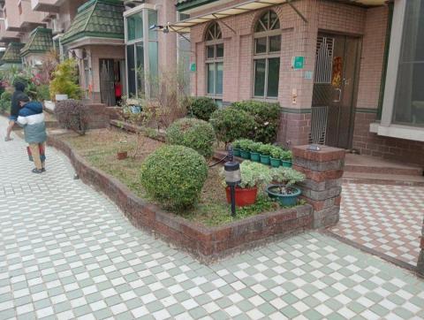 王東明 - 修剪後的樣子