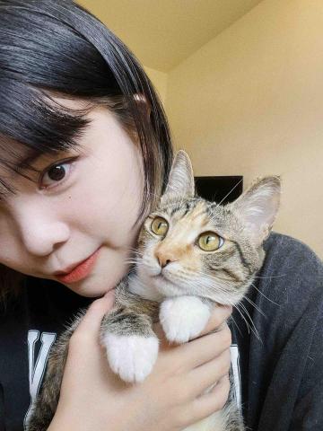 提供廣告設計台中服務的專家517