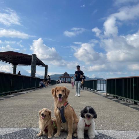 台北信義區寵物禮儀公司推薦阿真