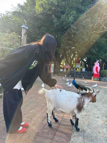 麥碩宇 - 摸過羊的屁股