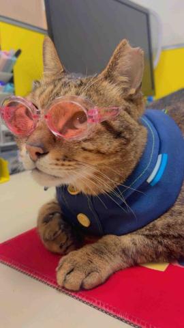 基隆特教家教推薦黃麗芹