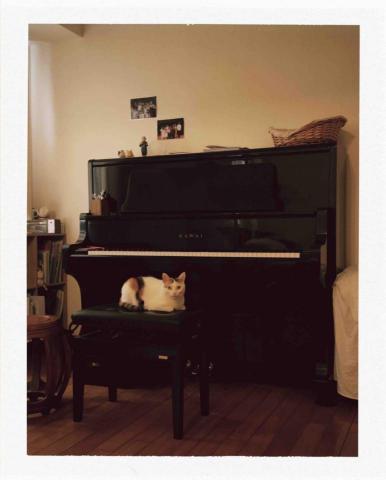 宋老師音樂課 ♪ - 