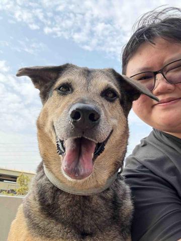 提供工作家庭代工服務的專家妤樺