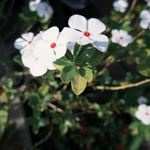 提供12600術科服務的專家小草