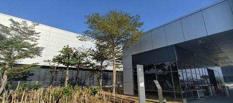 園上草有限公司 - 修剪前