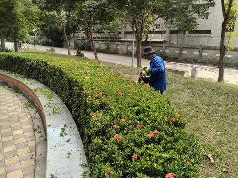 園上草有限公司 - 綠籬修剪