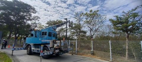 園上草有限公司 - 樹木修剪