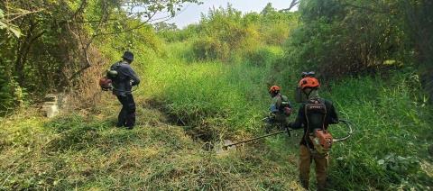 園上草有限公司 - 荒地開路