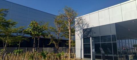 園上草有限公司 - 修剪後