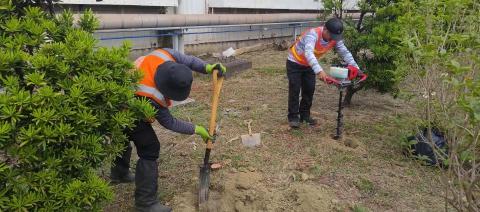 園上草有限公司 - 種植樹木