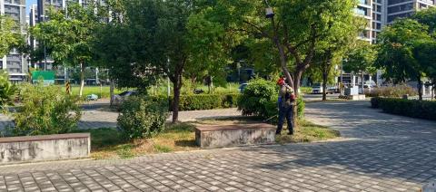 園上草有限公司 - 公園維護