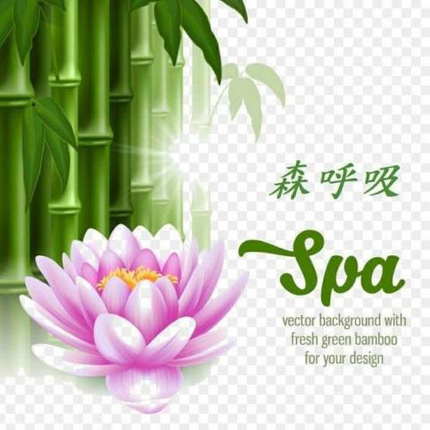 提供彰化個人按摩工作室服務的專家森呼吸女子spa按摩