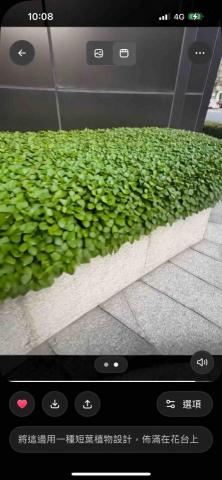 太杉 景観園芸所 エンゲイショ - 