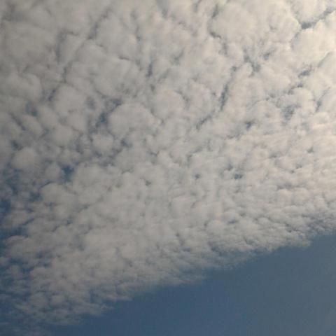 提供時間管理服務的專家RU