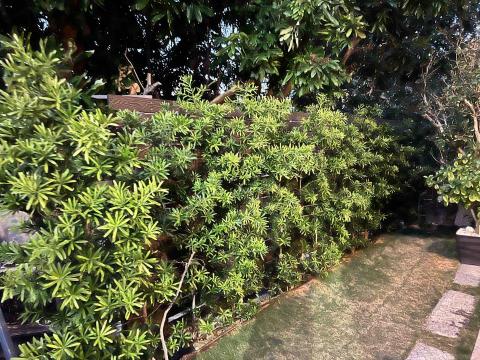 正遠鋒實業股份有限公司 - Pro360客戶 廖先生後援塑木格柵