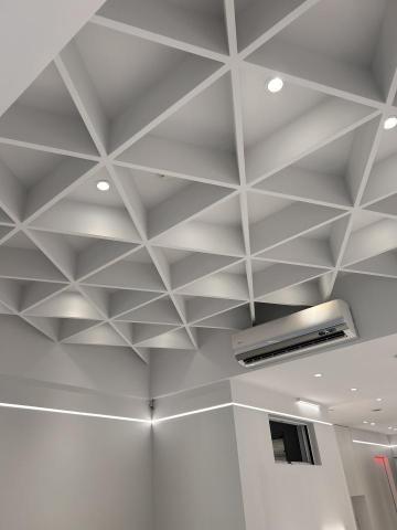 林俊南（胖） - 照行天花板