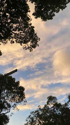 提供台中大里服務的專家傅苡瑄