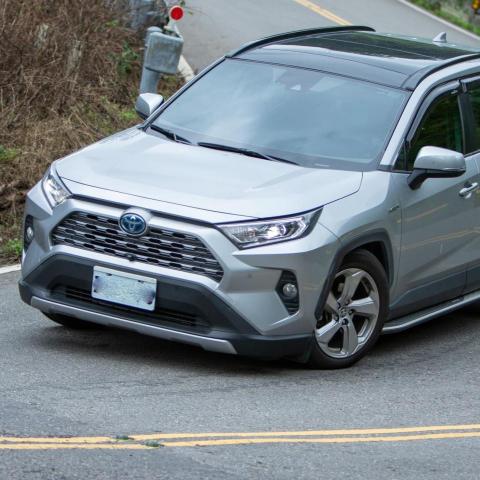 提供173bella小海服務的專家小海豹