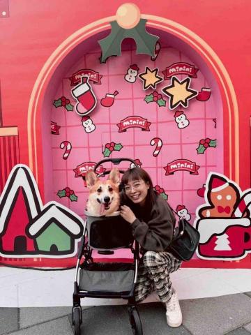 石門汽車隔音廠商推薦沈庭亘