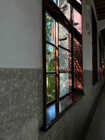 提供書法課服務的專家Jenny