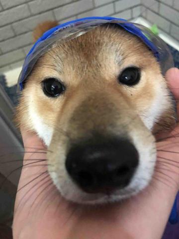 飛羊影音壁掛工程