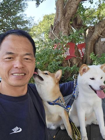 郭晉 - 客戶寄養柴犬