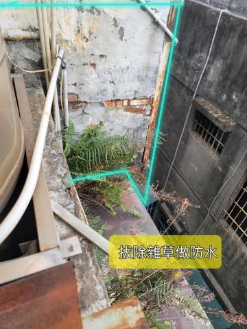 嵐玥工程 - 水泥層剝落，牆角植株