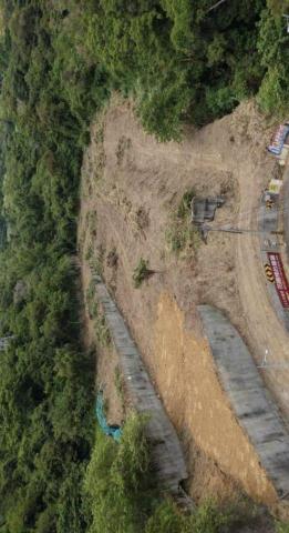 景椿園藝 - 豐原公老坪整地施工4 天後