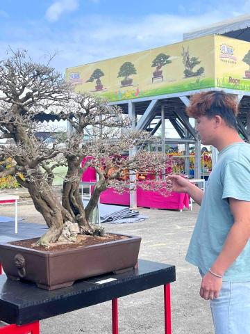 提供林園水電行服務的專家傳藝林園藝