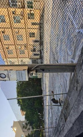 景椿園藝 - 西螺整地施工後撲透明網格PVC帆布