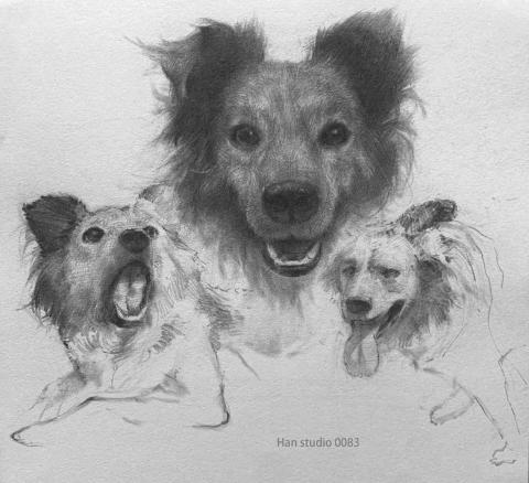 Han studio  邱柏翰 - 這張虎斑刻意保留部分毛流不畫滿，
讓觀眾自己補完細節

畫面不是靠堆滿細節取勝，
而是透過筆觸鬆緊與虛實對比，
讓豐富自然浮現

上課會帶你練習：
✔ 哪裡可以刻畫
✔ 哪裡可以放鬆
✔ 怎麼用少量筆觸表現質感

如果你也想學會畫出你家狗的神情，
可以私訊詢問素描上課內容