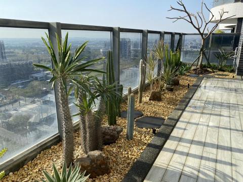 植得景觀-園藝景觀設計工程 - 高雄厝陽台旱景風格設計施工
